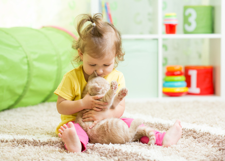 Kid girl holding cat kitten on the floorの写真素材