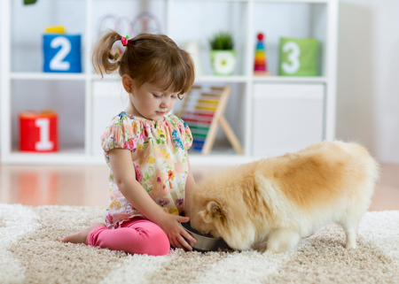 Adorable little girl feeding cute dogの写真素材