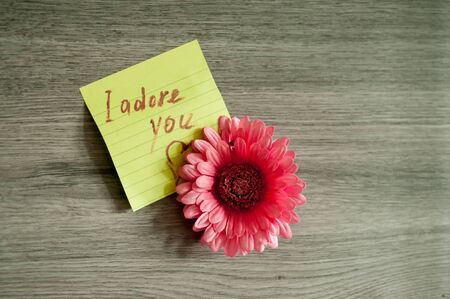 note love I adore you to the English language written on a green sheet of paper glued to the wall on...