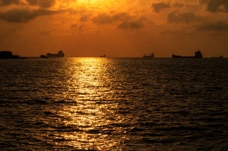 light and shadows at sunset in summerの写真素材