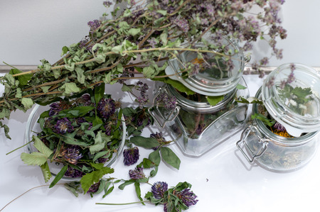 collection of dried herbs close-upの写真素材