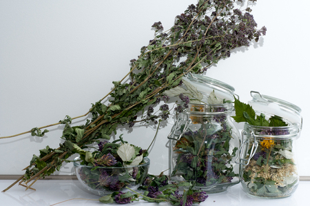 collection of dried herbs close-upの写真素材