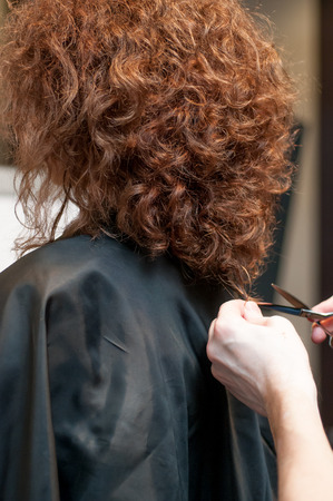Haircut curly hair on a girl model with dark hair by a master hairdresser with scissors in hand at the marathon of beauty rear view in Chelyabinsk, Hotel Redisson Blu, December 2, 2018の写真素材