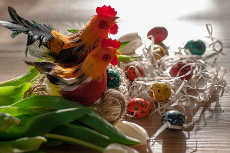 Easter eggs, two hens in a nest and white tulips bright background imageの写真素材