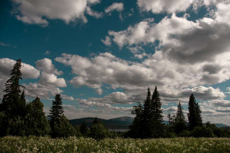 Summer landscape with blue sky and large white clouds with a green meadow and forest on a sunny dayの写真素材