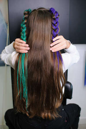 Back view of teenage girl showing colored pigtailsの写真素材