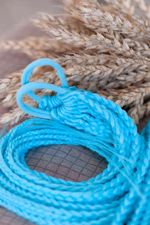 Decorative blue hair accessory, elastic band with small colored braids, handmade close-upの写真素材