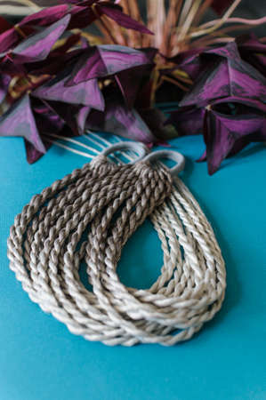 Accessory for long hair from small colored braids with an elastic hair band in assortment on a...