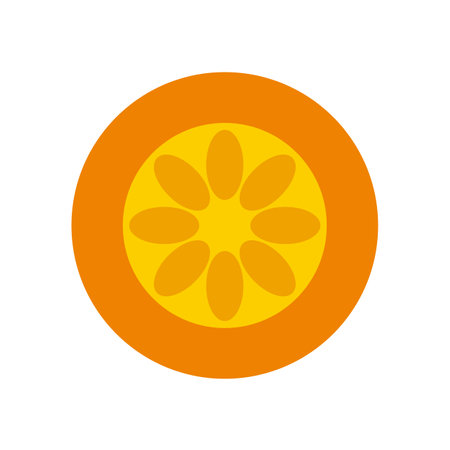 Orange fruit flat icon on the white background for web and mobile design. resources graphic icon element design. Vector illustration with a food themeのイラスト素材