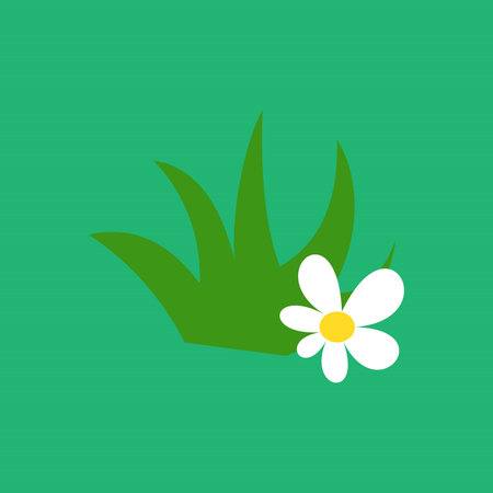 chamomile flower on a green background. Grass and flower icon. Simple illustration of grass and flower icon for web. Silhouette meadow natural and plant design elementsのイラスト素材