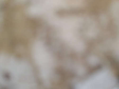 abstract background of dry leaves stock photoの写真素材