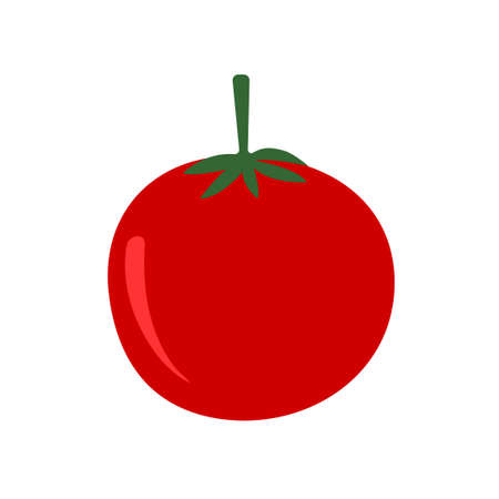 vector illustration of fresh tomatoのイラスト素材
