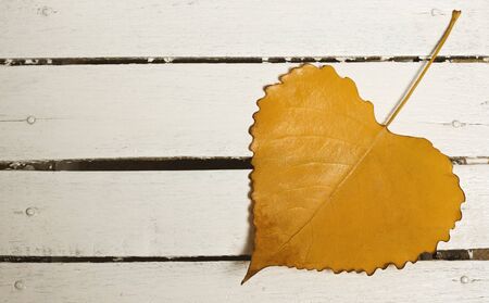 Heart-shape autumn leaf on old wooden backgroundの写真素材