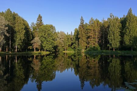 Lake of the Woods. Quiet summer evening.の写真素材