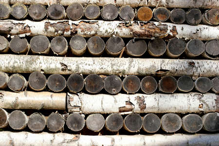 wall from birch logs, Birch logs are stacked up and down, photographed close-upの写真素材