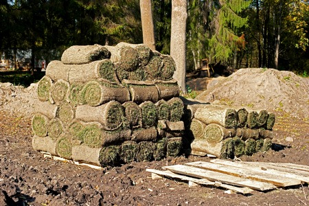 Spiral of fresh rolled grass turf, Spiral  stacked on palletsの写真素材