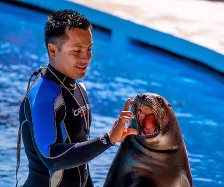 Alanya, Turkey - May 3, 2014: Dolphin Sealanya - shows featuring dolphins and sea lions. Speech and sea lion trainer.のeditorial素材