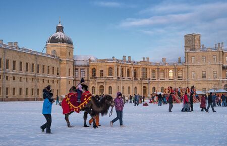 Gatchina, Russia - January 5, 2019: Gatchina Palace, New Year's Fair on the parade ground. People walk around the fair. Children ride a camel. Photo taken in the evening.のeditorial素材