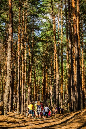 Teenagers Among the Pinesの写真素材