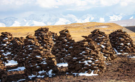 Dung mountains on the background of a mountain landscape Bricks from the dried remains of cow dung...