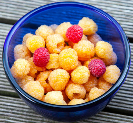 Yellow and red raspberries in a blue Cup. Garden raspberries of yellow and red varieties in a blue...