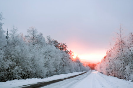 Low evening sun over a winter snow-covered road in Siberia. Frosty evening over the highway in the taiga.の写真素材