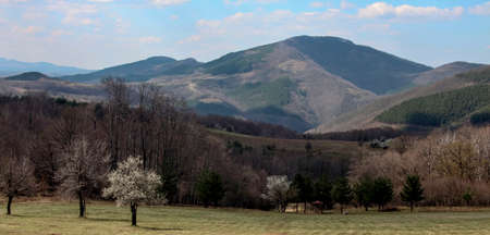 Mountain and forest landscape in the evening sun in the Balkans. Nature in early spring in the Bulgarian Balkans.の写真素材