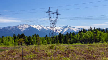 Support and wires of the power line on the upper swamp in the foothills of the Khamar-Daban ridge. Mettallic supports and wires of high-voltage highway in the Siberian taiga.の写真素材