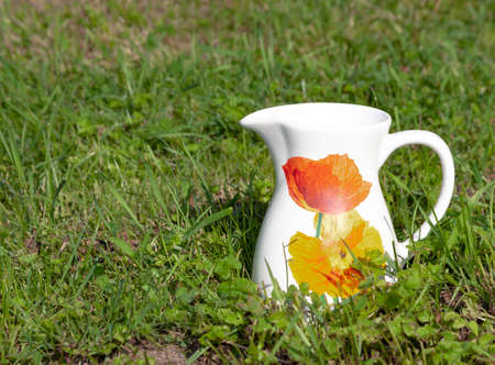 Old white jug with pattern of poppies on the green grass of the lawn. A ceramic jug stands on the...