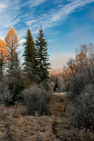 Path leading into the autumn taiga hills in the fog. Frosty October morning in the taiga upper reaches of the Lena River.の写真素材