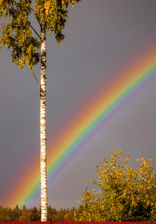 Bright rainbow against the background of an autumn dark sky. Vertical shot with rainbow in the September sky.の写真素材