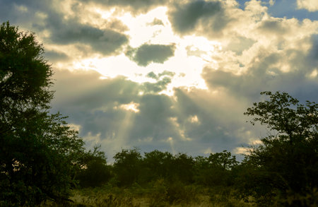 Cloudy landscape with sunlight between clouds over shrubby savanna. Evening sky with rays of the setting sun between clouds over a wooded area.の写真素材