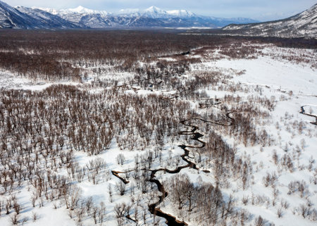 River valley in the mountainous snow-covered wild tundra of the Kamchatka Peninsula. Helicopter view of winding small river in the mountains in the Far East of Russia.の写真素材