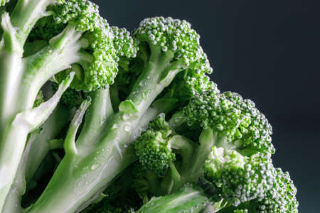 side view of fresh broccoli with visible water drops on dark background, close up view of slices of vegetablesの写真素材