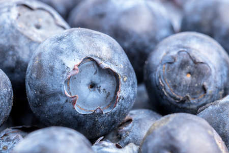 blueberries  with low calories, macro close up shot, single Blueberry in focus, matt and dull blue...