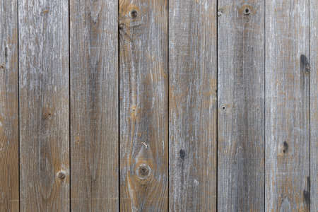 Weathered gray and brown wood wall planks or lumber with pealed of paint, use as background or...