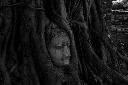 Buddha of Ayutthayaの写真素材