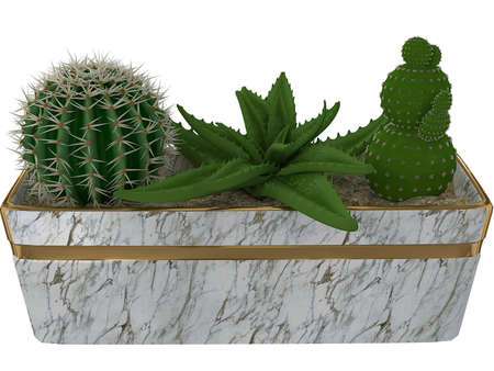 Beautiful abstract cactus for art projects, cards, business, posters. 3D illustration, computer-generated fractalの写真素材