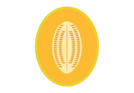 Melon. Healthy food and delicious food. Vector graphics on a white background.のイラスト素材