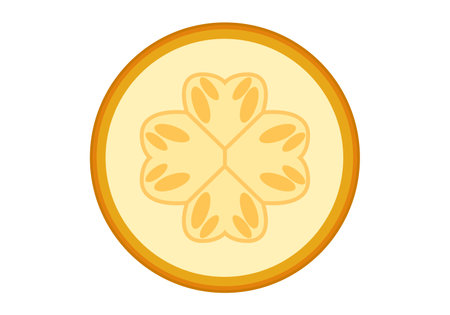 Vegetable marrow slices. Healthy and delicious food. Vector graphics on a white background.のイラスト素材