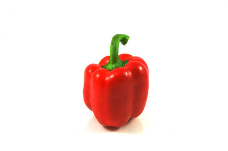 Red paprikaの写真素材