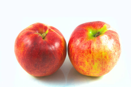 Two applesの写真素材