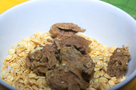 Oat petals with beef in bowl on color pad の写真素材