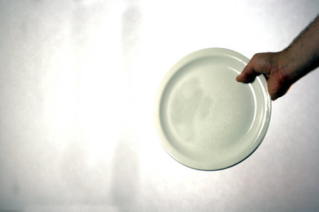  White plate in palm on white background 