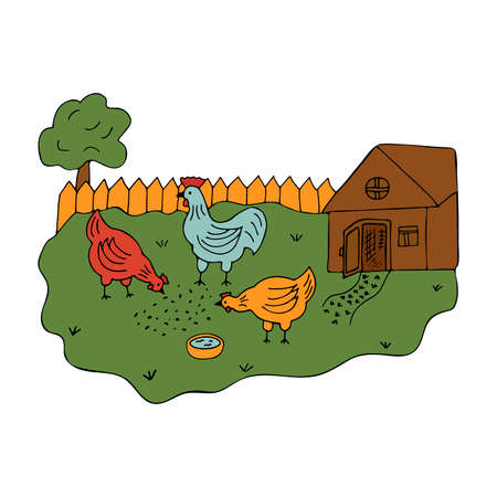 Courtyard in the village with walking hens and a cock. Colorful vector illustration in cartoon style. Poultry on a walk. Summer time. Coop in the yard. Country lifeのイラスト素材