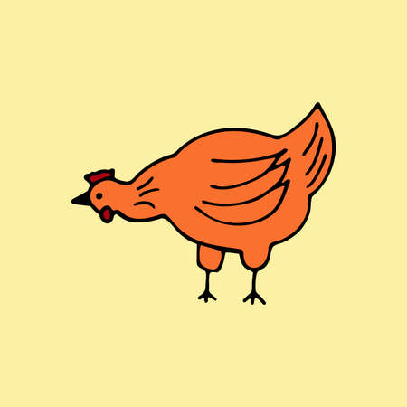 The chicken is walking. Colorful vector illustration. Domestic bird. Poultry breeding concept, rural life, farmingのイラスト素材