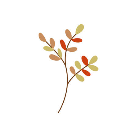 Autumn twig with colorful leaves vector flat illustration. Elegant simple branch isolated on white backgroundのイラスト素材
