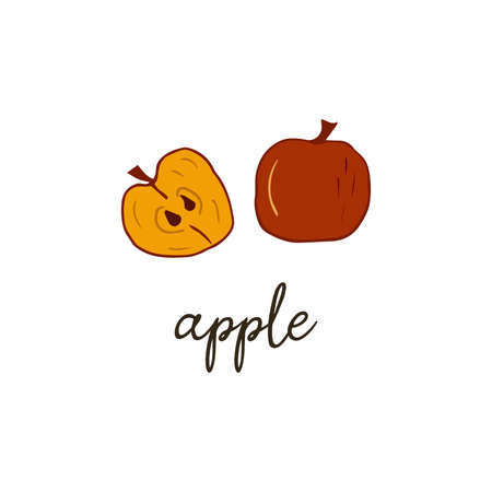 Half and whole apple. Fresh sweet fruit vitamin. Hand drawn vector illustration with an inscription. Icon or logoのイラスト素材