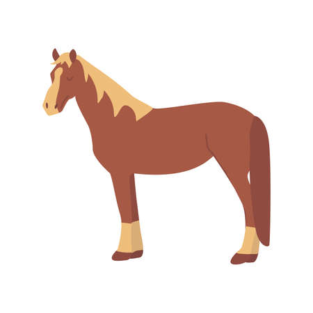 Brown horse. Elegant herbivore. Colorful vector isolated illustration hand drawn. Farm animal, livestockのイラスト素材