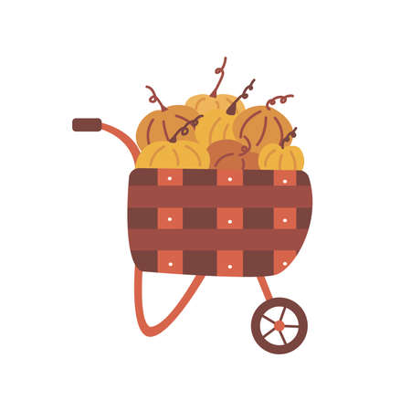 Wooden cart with pumpkins. Harvesting. Colorful vector isolated illustration hand drawn. Autumn season. Farm. Ripe gourd, farmers marketのイラスト素材